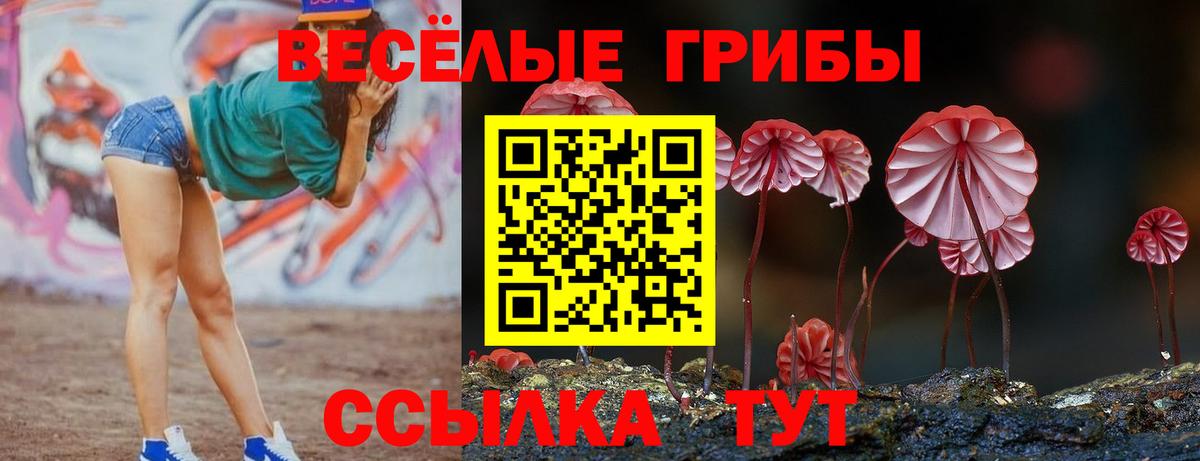 Псилоцибиновые грибы GOLDEN TEACHER Канск