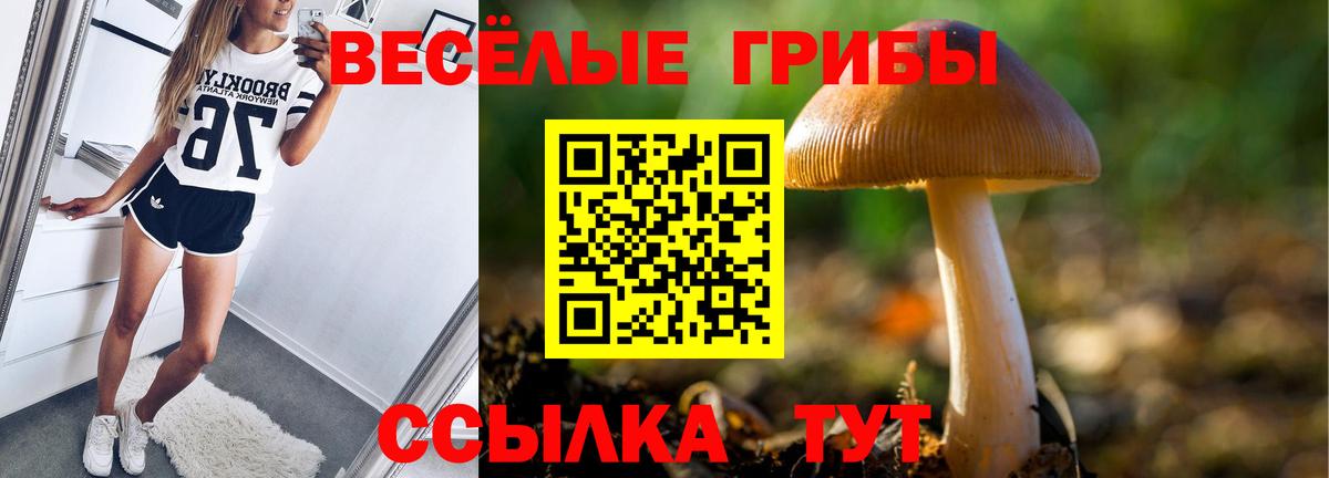 Канск  Галлюциногенные грибы ЛСД  Псилоцибиновые грибы MAGIC MUSHROOMS  Вход с VPN 