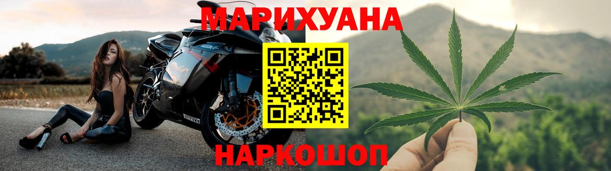 Бошки Шишки план Канск